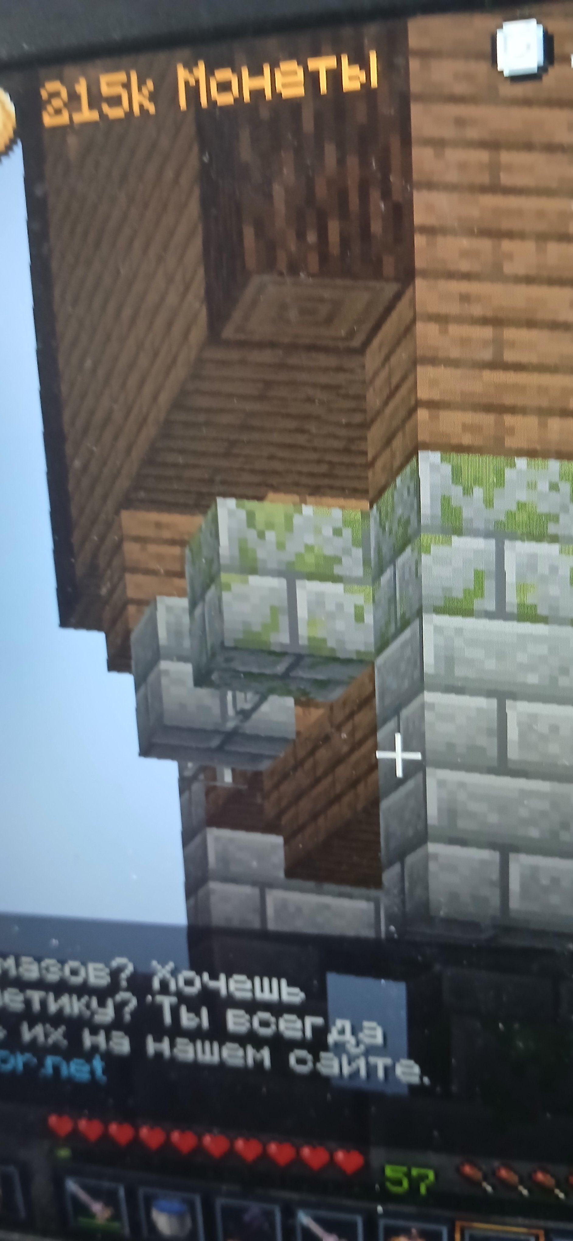 1000017609.jpg